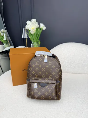 Louis Vuitton Palm Springs Backpack Monogram Canvas