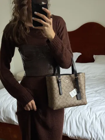 Coach Mollie Tote Bag 25 In Signature Canvas Brown/Black